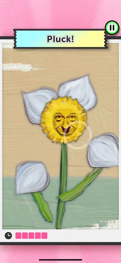 Flower Fortune：把花瓣一片片摘下来。